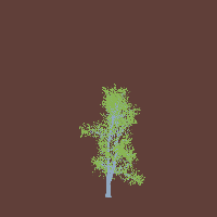 greenshift tree