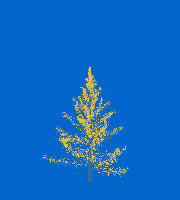 greenshift tree