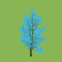 greenshift tree
