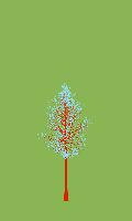 greenshift tree