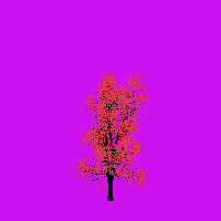 greenshift tree