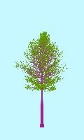 greenshift tree