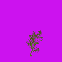 greenshift tree