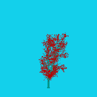 greenshift tree