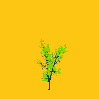 greenshift tree