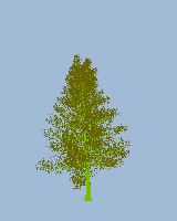 greenshift tree