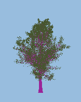 greenshift tree