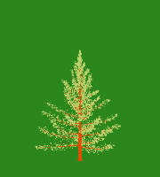 greenshift tree