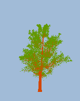 greenshift tree