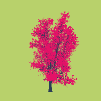 greenshift tree