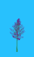 greenshift tree