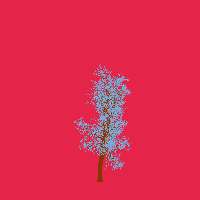 greenshift tree