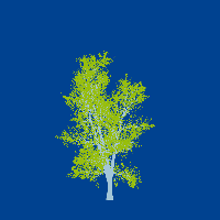 greenshift tree