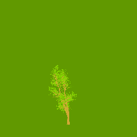 greenshift tree