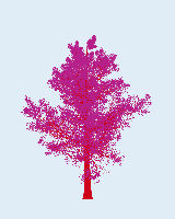 greenshift tree