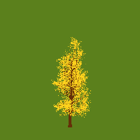 greenshift tree