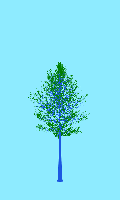greenshift tree