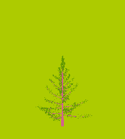 greenshift tree