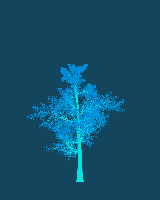 greenshift tree