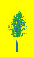 greenshift tree