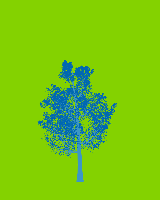 greenshift tree