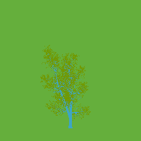 greenshift tree