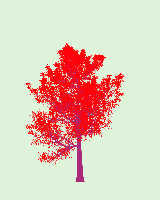 greenshift tree