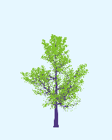 greenshift tree