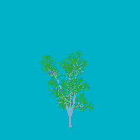 greenshift tree