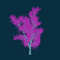 greenshift tree