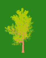 greenshift tree