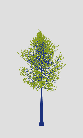 greenshift tree
