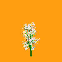 greenshift tree
