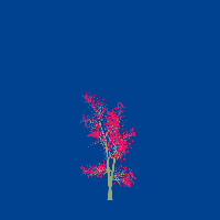 greenshift tree