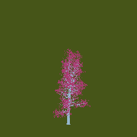greenshift tree
