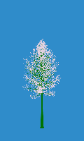 greenshift tree