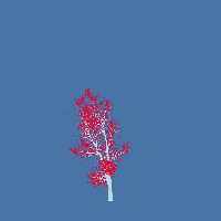 greenshift tree
