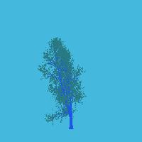 greenshift tree