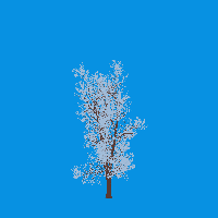greenshift tree