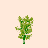 greenshift tree