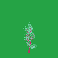 greenshift tree