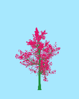 greenshift tree