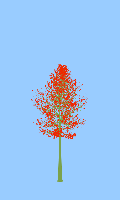 greenshift tree