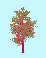 greenshift tree