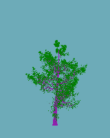 greenshift tree