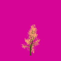 greenshift tree