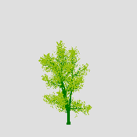 greenshift tree
