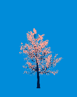 greenshift tree