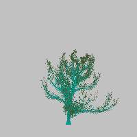 greenshift tree