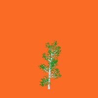 greenshift tree